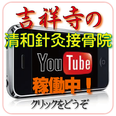 カッピング 馬喰町 吸い玉 カッピング 吸角
